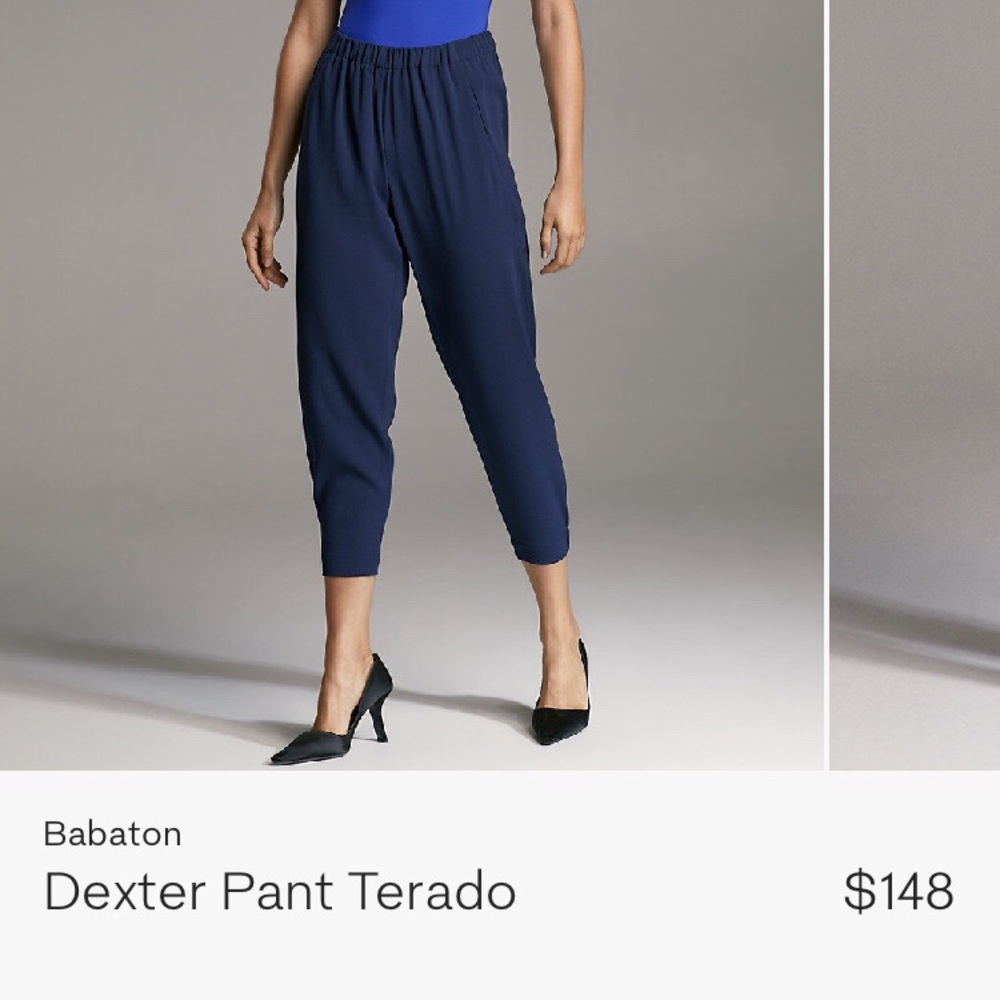 Aritzia Babaton Dexter pants